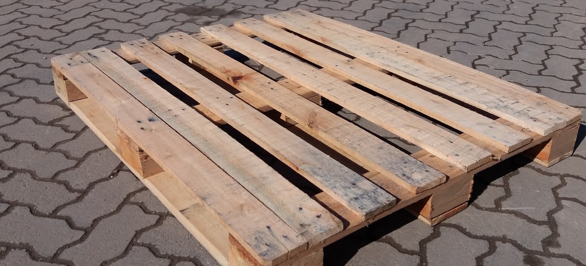 Pallets de Madeira 